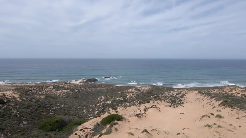 Vegetation covers part of beach as waves crash onto shore under cloudy sky