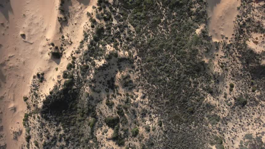Aerial shot looking down at desert landscape