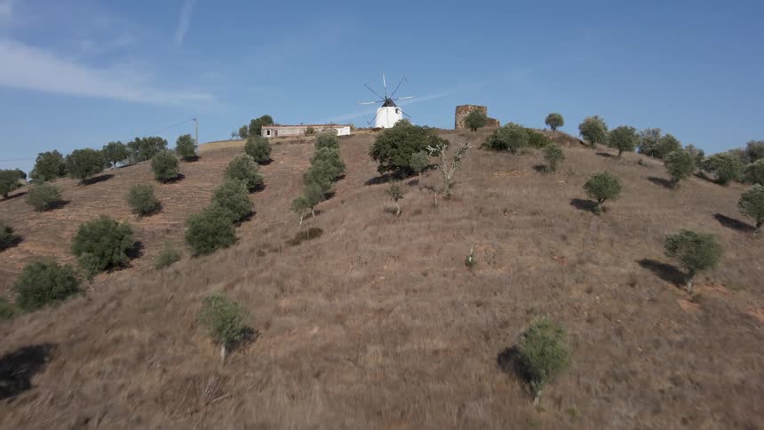 Moving up the hillside over trees and bushes and a windmill next to a building