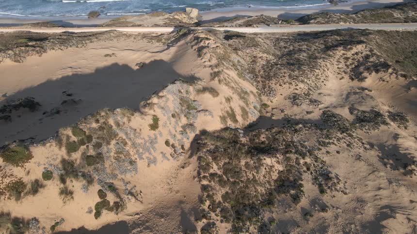 Sand dunes lead to an ocean and blue skies