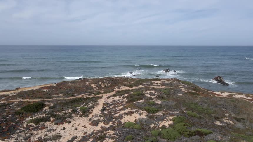 Shore covered in vegetation and sand with waves crashing up from the ocean at day time