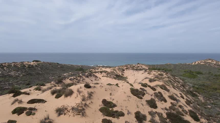 Mounds of sand dot the ground on a cliff overlooking the ocean