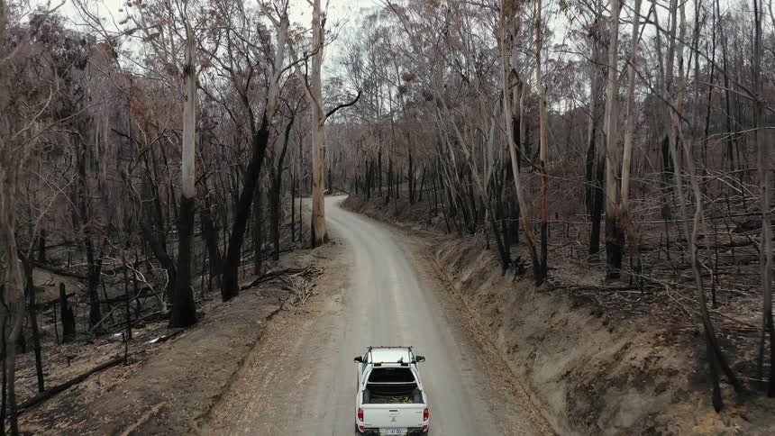 Truck driving down a road in a forest full of scorched barren trees