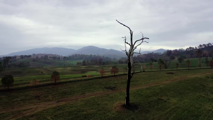 Landscape with grass land and mountains on an overcast day