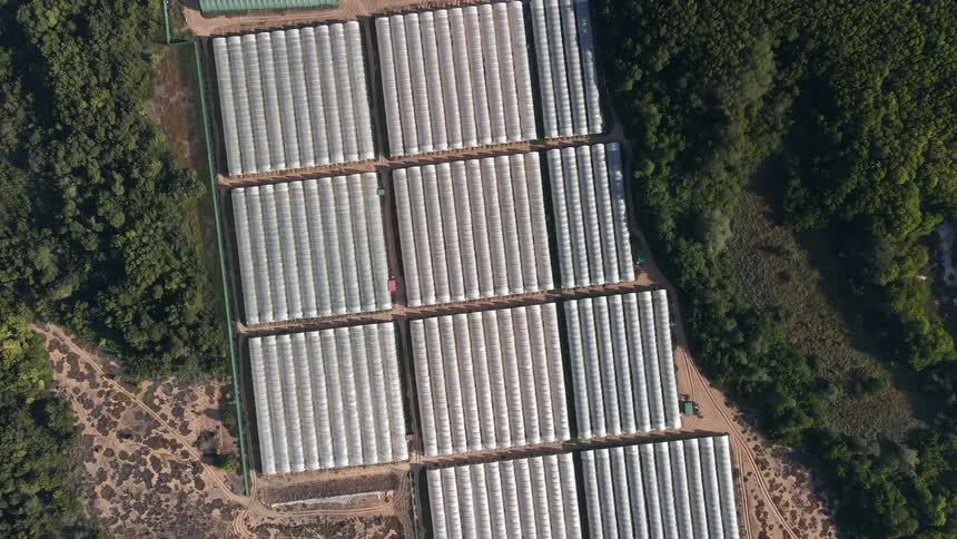 Solar panels are surrounded by trees in the countryside