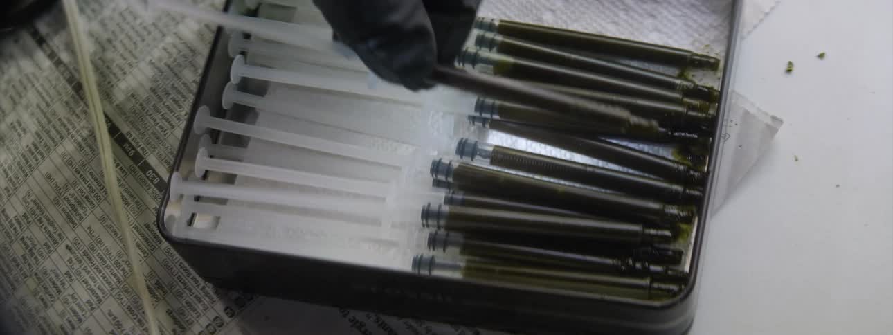 A person wearing a disposable glove places multiple filled syringes into a container