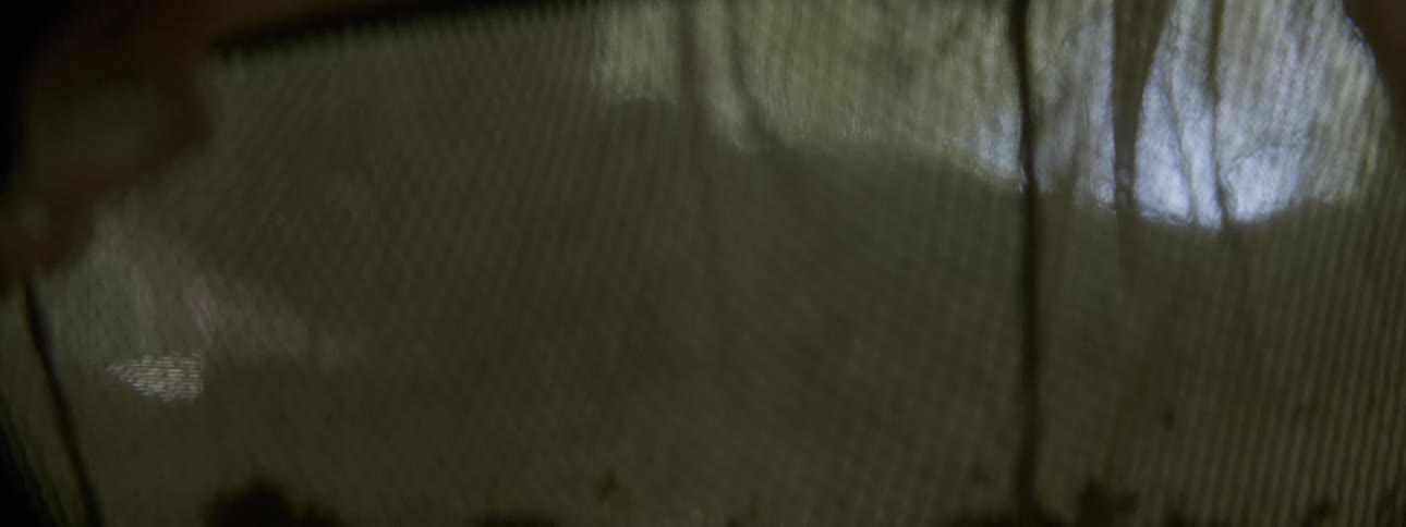 A person using a colander to drain water from vegetables