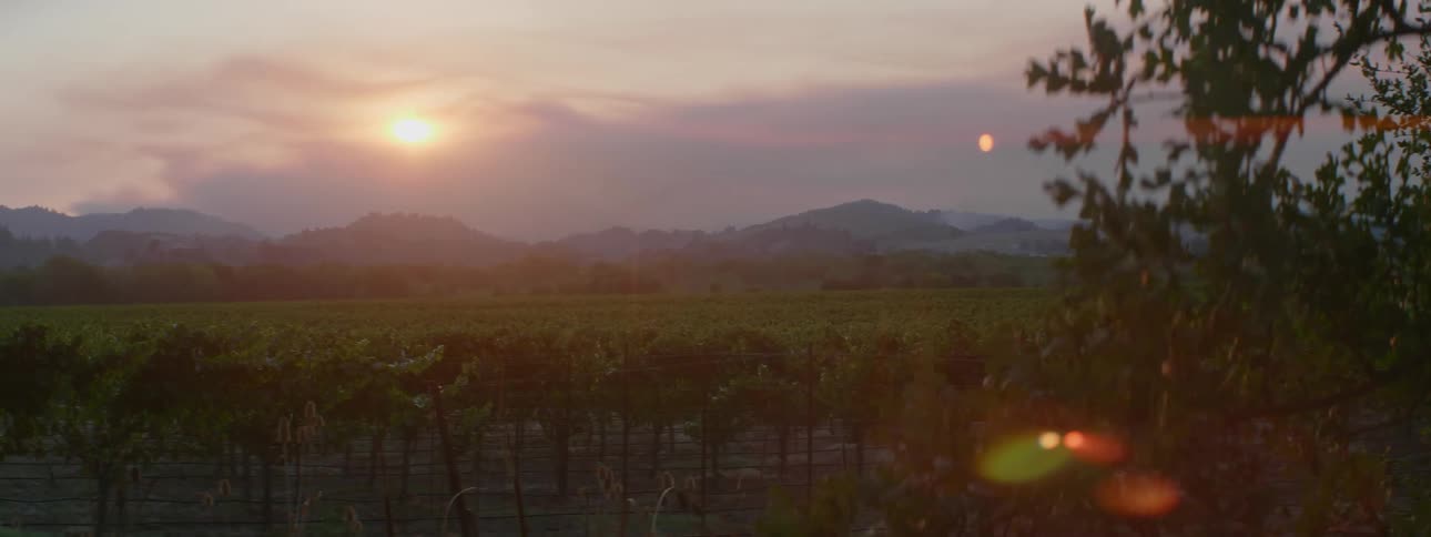View around trees of sun setting above mountains across a grassland