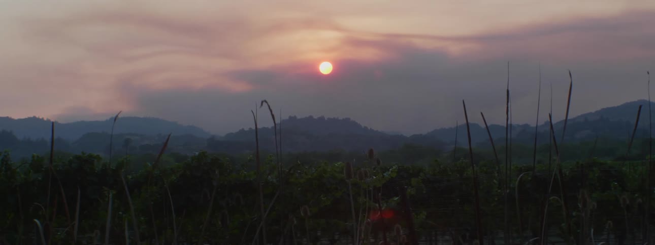 Bright red sun at sunset set peeping behind from behind light clouds