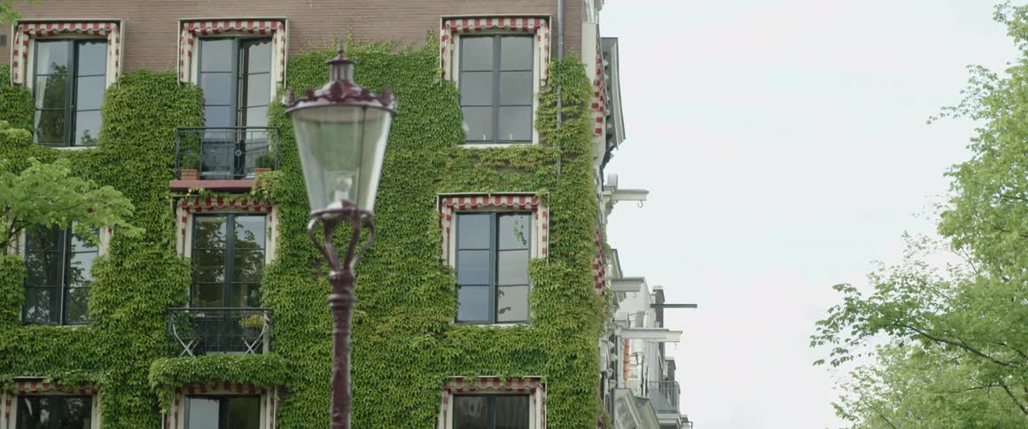 Vine covers large portion of outside surface of apartment building