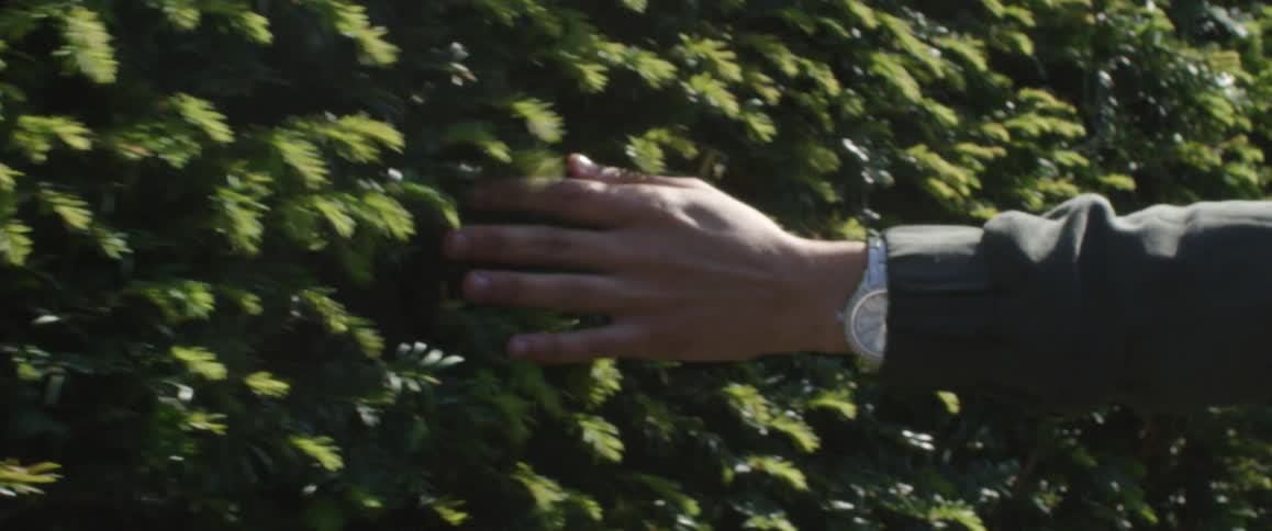 Woman walks past shrubs running hand a long the leaves