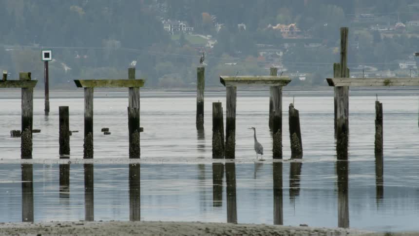 Dismantled dock along a shoreline with a highway and homes on a mountain slope in the distance