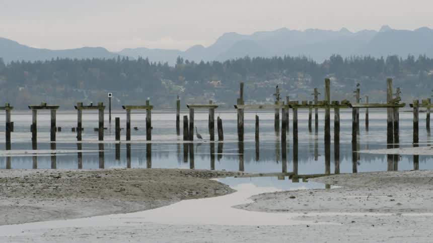 Shoreline with a distant view of homes and cars driving on a highway