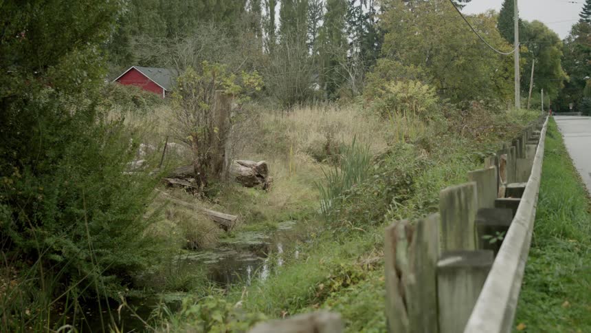 A small house sits off a rural highway surrounded by trees and weeds