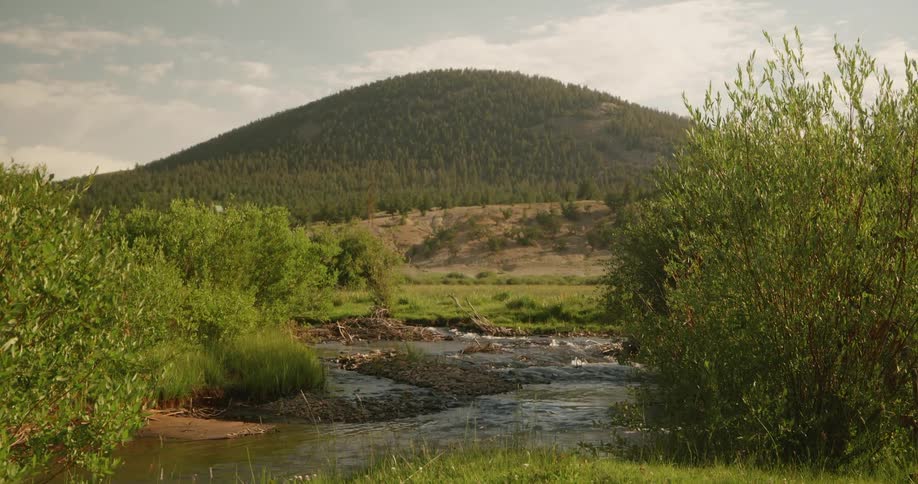 A stream runs through a grassy area with bushes and a mountain hill in the background
