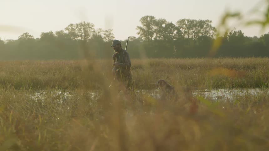 Hunter holding a bird walking through water in a grassy field while being followed by a dog