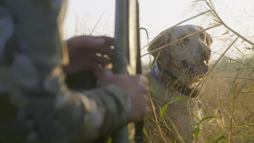 Beige dog sitting next to a man holding a hunting rifle out in a grass field at day time