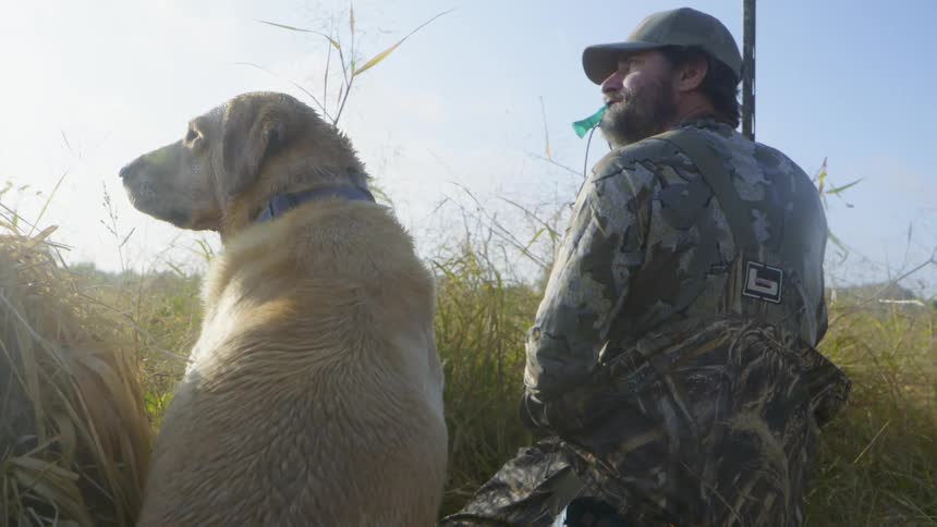 Hunter in camouflage and a gun stands with his dog in a field observing the surroundings