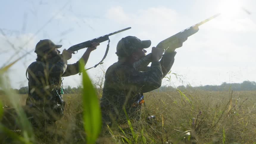 Two men kneeling down in tall grass with a pet shooting hunting guns up in the air at bird flying by on a sunny day