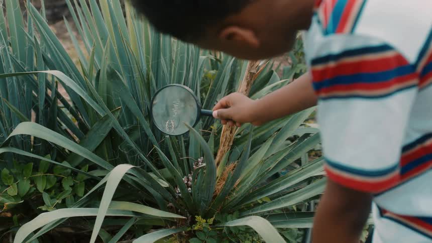 Young boy examines a large spider on a web using a magnifying glass