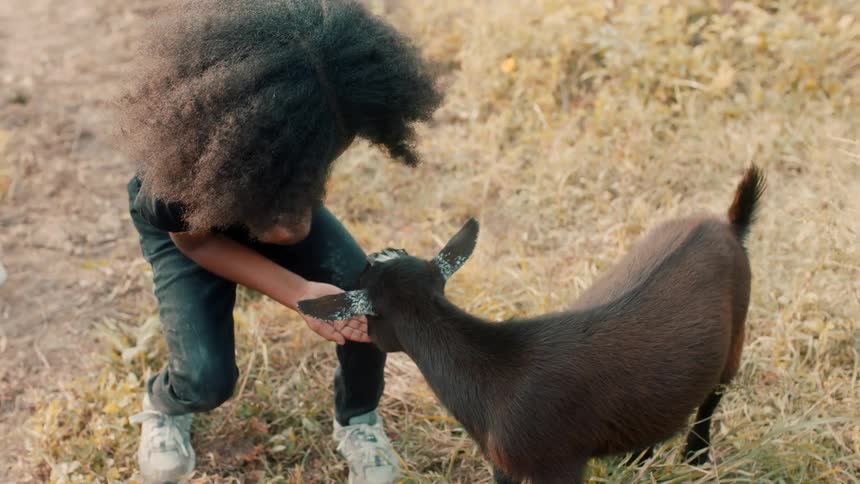 A young girl with big curly hair bends down to pet a brown goat