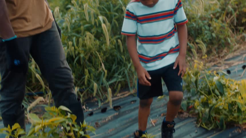 A man walks out to a garden with a boy and points him to the area for him to pick berries