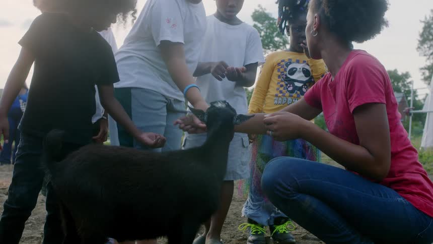 A woman hands out food for kids to feed to a goat outdoors