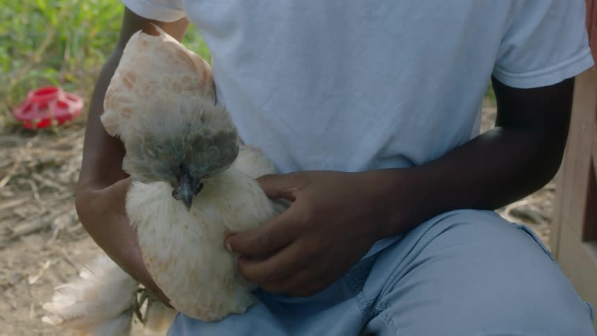 A man holds a feathered bird in his lap while sitting outside during the daytime