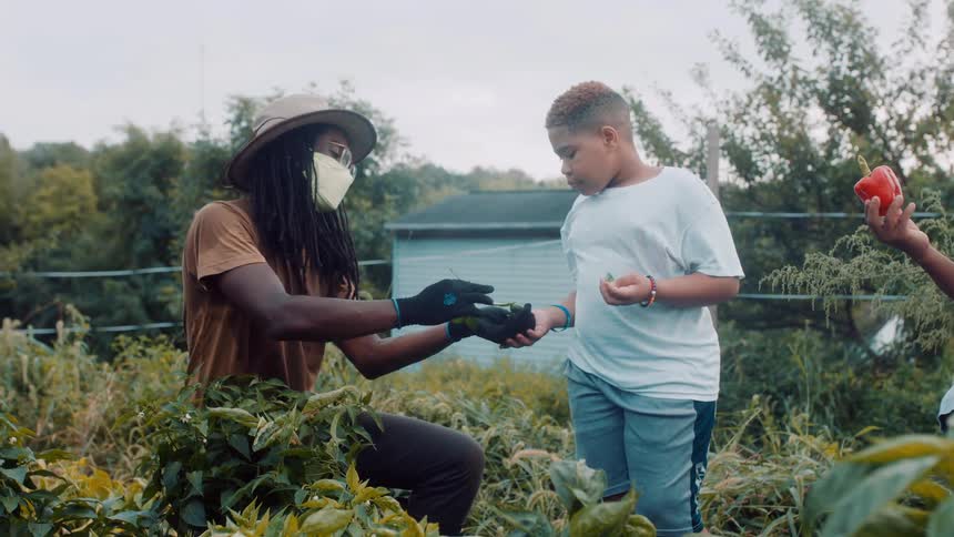 A man picks some vegetable and gives them to a boy and another boy holds a red pepper up in the air