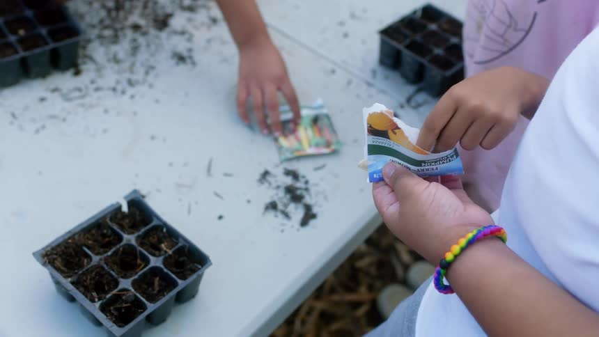 A hand is holding a seed packet with another hand removing seeds to place in a container