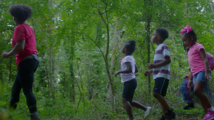 Woman leads kids on walk through woods pointing things out
