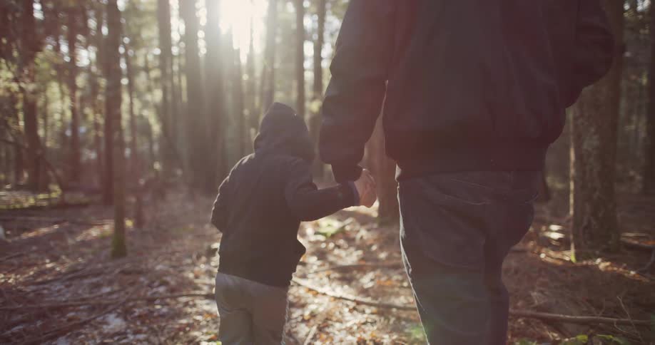 Father and son walk through the forest holding hands