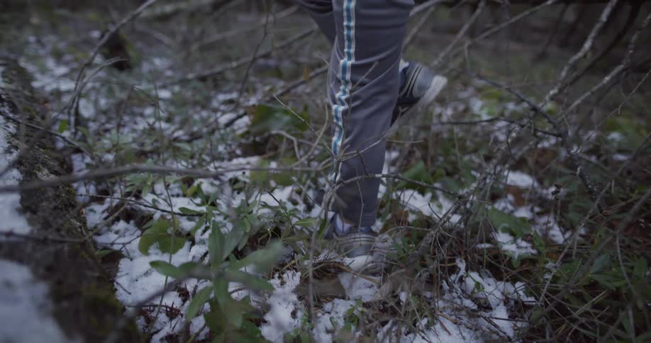 Person is walking through a wooded area wearing a hooded jacket and striped pants with tennis shoes