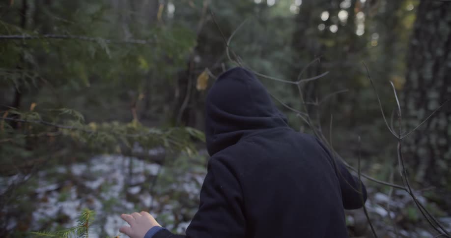 Person wearing a hooded jacket walks through a snowy forest through the trees