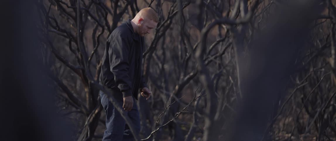A white man is walking with head down through a grove midday in the fall