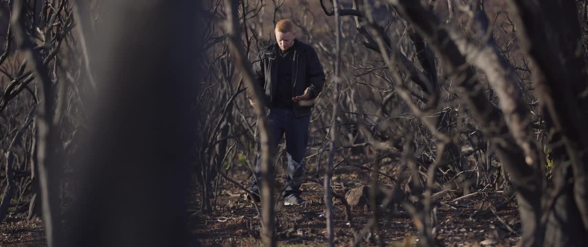 Man walking through a forest full of scorched and dead trees at day time