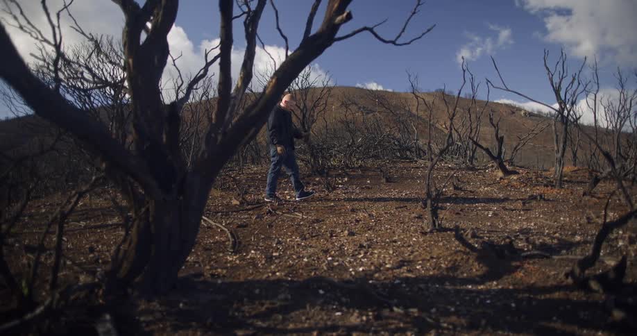 A white male wearing jeans and a gray sweater is walking through a bare countryside with bare trees