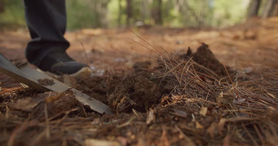 Person is using a shovel to dig a hole in the ground
