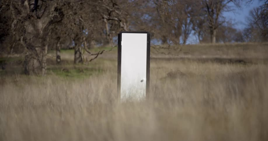 A white door with a black frame out in a field in the wilderness