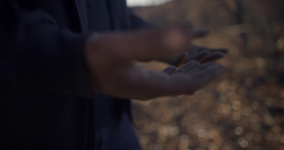 A man standing in a forest lifts up his dirty hands and looks at them