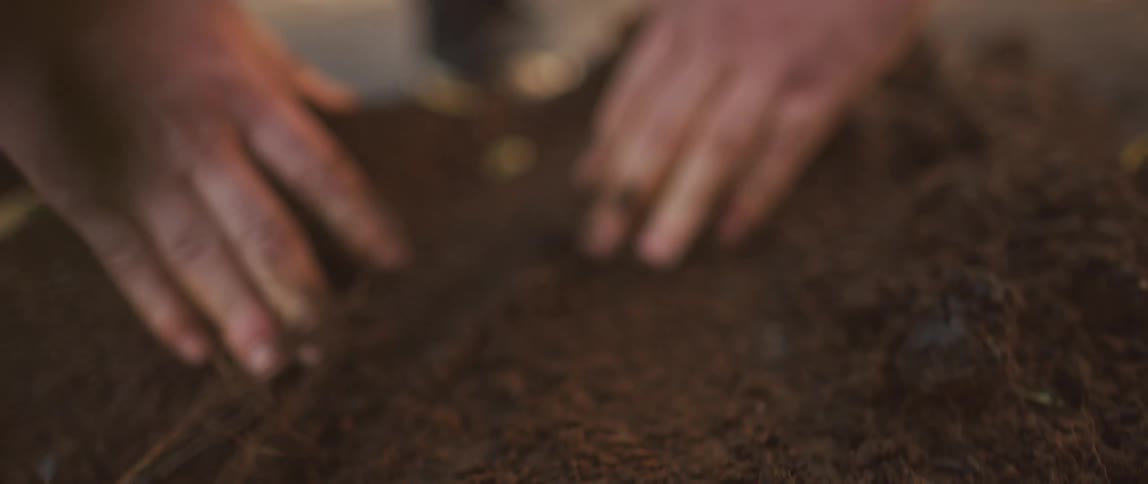 Pair of hands with mud on the fingertips running through dirt in a garden with plants outdoors