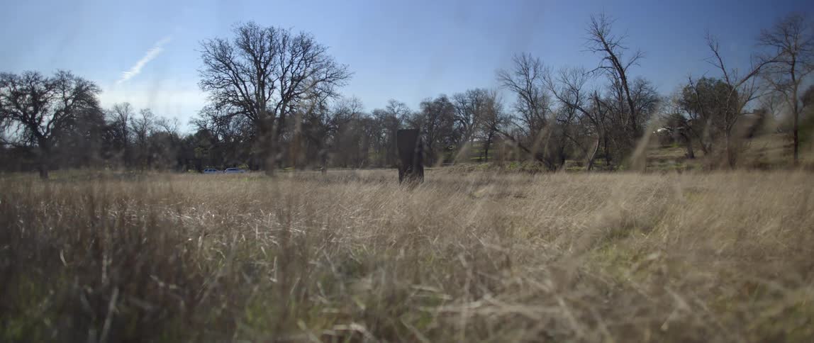 A dark object stands alone in a wide open grassy field
