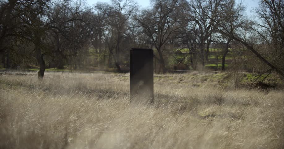 A grassy field in a rural area