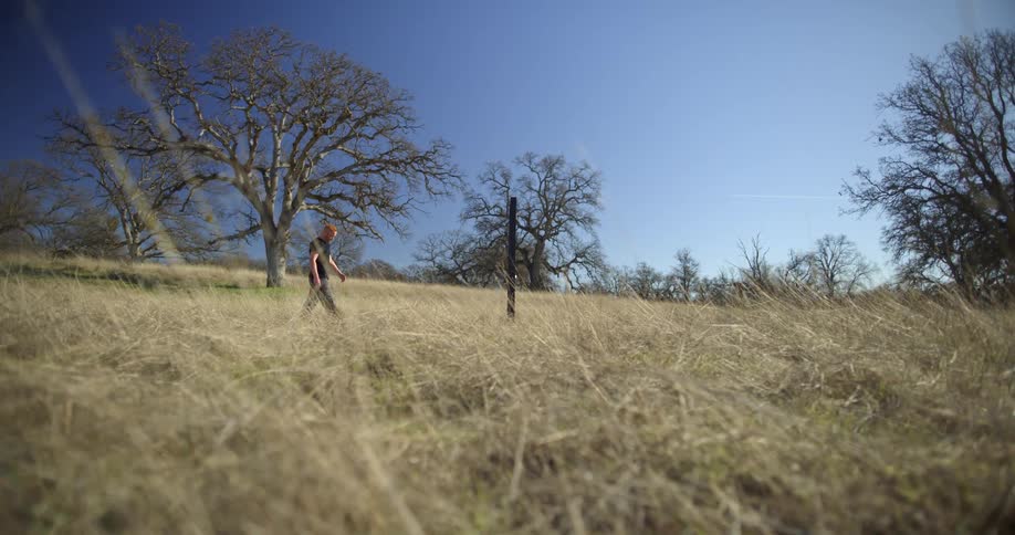 A man walks through a field towards a post in the middle of a sunny day