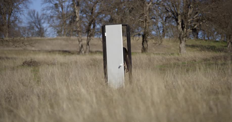 A man opens a door in the middle of a field