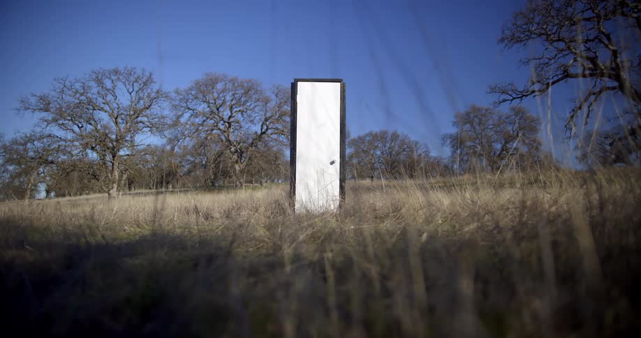 Free standing door sits in brown grassy field near surrounded by leafless trees