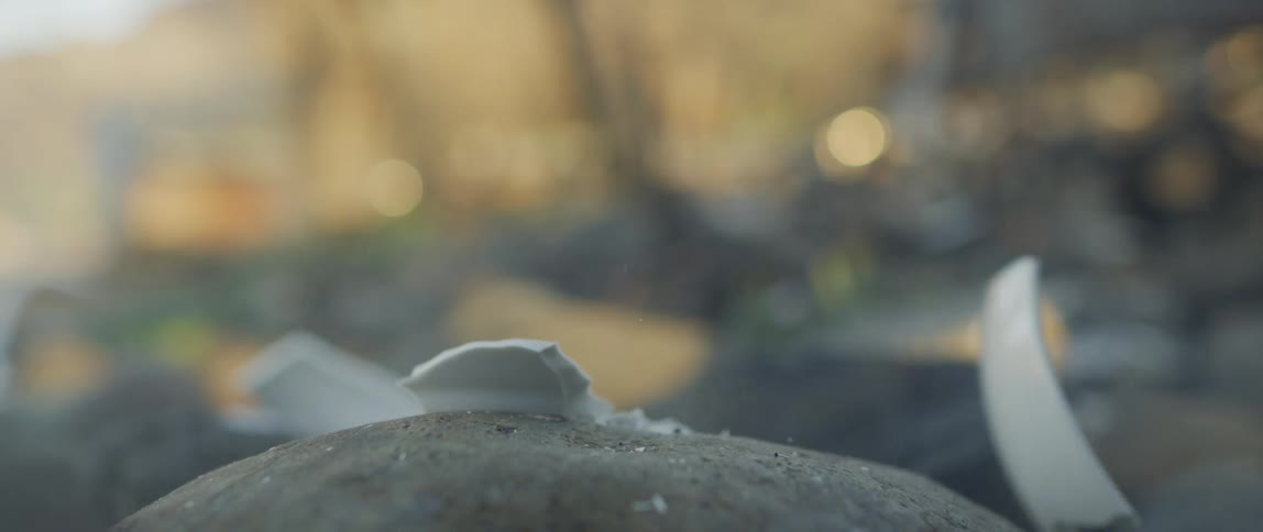 Bowl on a rock outdoors being smashed by a wrench
