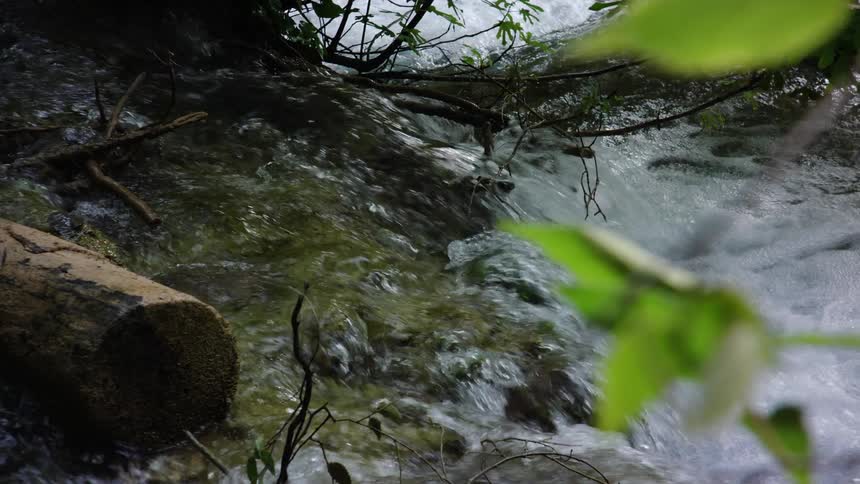 River or stream runs over rocks and past plants and twigs and logs