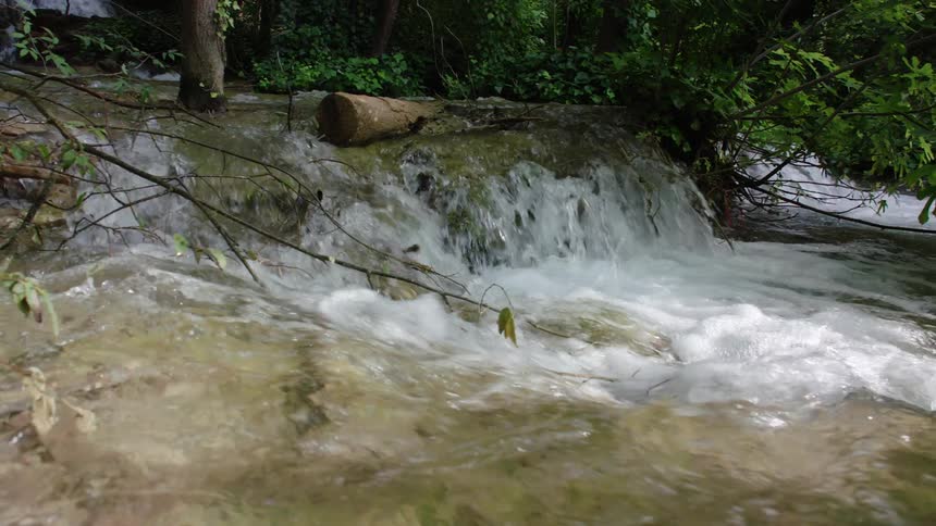 A clear river runs through a woodland during the day