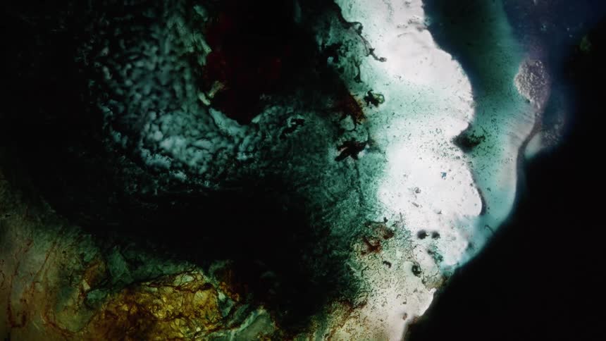 White gold and dark blue liquids merging out and into each other